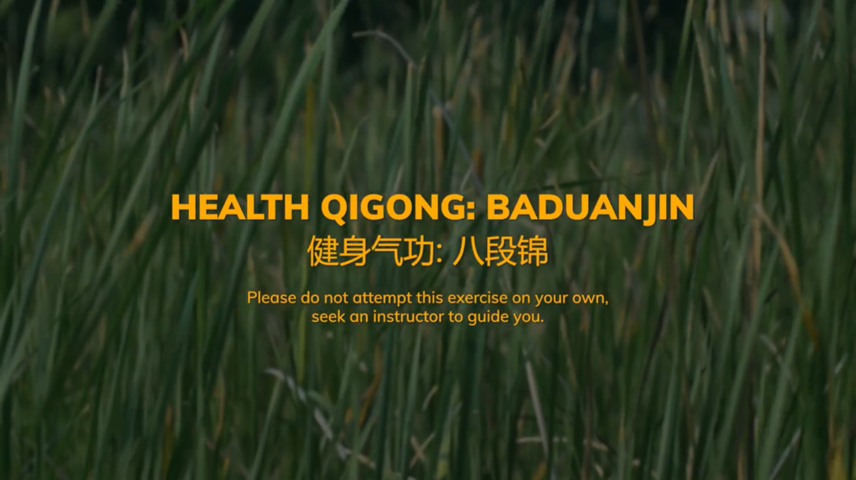 Image of Baduanjin demonstration video